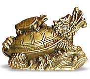 Dragon Headed Turtle
